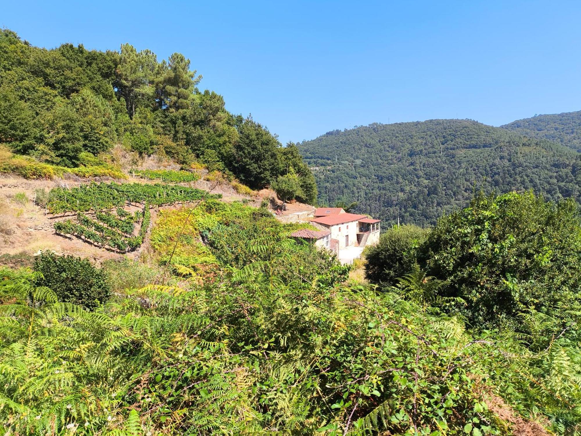 Peares Xiravai-Ribeira Sacraヴィラ エクステリア 写真